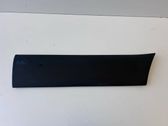 Front door trim (molding)