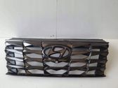 Kühlergrill