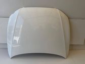 Motorhaube