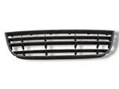 Front bumper lower grill