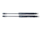Tailgate/trunk strut/damper