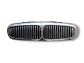 Front grill