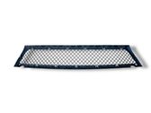 Front bumper lower grill