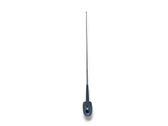 Radion antenni