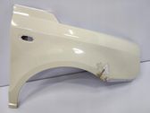 Fender