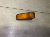 Front fender indicator light