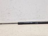 Tailgate/trunk strut/damper
