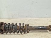 Rear shock absorber with coil spring