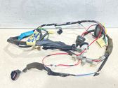 Front door wiring loom