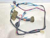 Rear door wiring loom