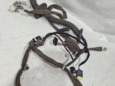 Front door wiring loom
