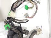 Front door wiring loom