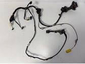 Front door wiring loom