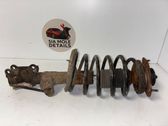 Front shock absorber with coil spring