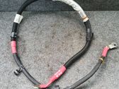 Wires (starter motor)