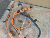 Other wiring loom