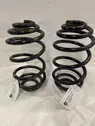 Rear coil spring