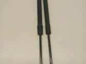 Tailgate/trunk strut/damper