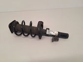 Front shock absorber with coil spring