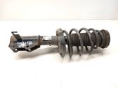 Front shock absorber/damper