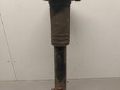 Rear shock absorber/damper