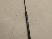 Tailgate/trunk strut/damper