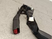 Middle seatbelt buckle (rear)