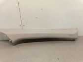 (A) pillar trim
