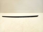 Windshield trim