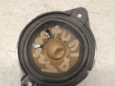 Panel speaker