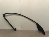 Other front door trim element