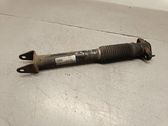 Rear shock absorber/damper