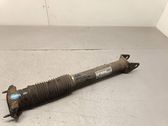 Rear shock absorber/damper