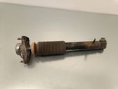 Rear shock absorber/damper
