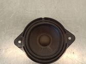 Panel speaker