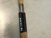 Tailgate/trunk strut/damper