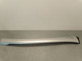 Windshield trim