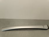 Windshield trim