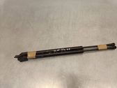 Tailgate/trunk strut/damper