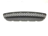 Front bumper lower grill