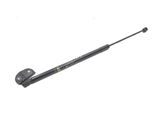 Tailgate/trunk strut/damper