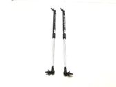 Tailgate/trunk strut/damper