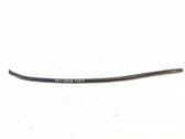 Windshield trim