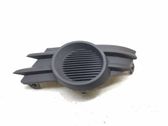 Front fog light trim/grill