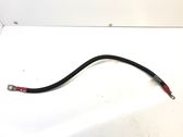Wires (starter motor)