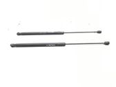 Rear window strut damper