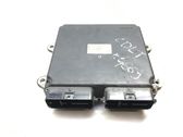 Unidad de control/módulo del motor