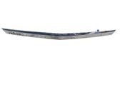 Trunk door license plate light bar