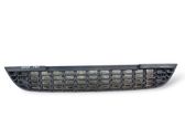 Front bumper lower grill