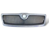 Grille de calandre avant